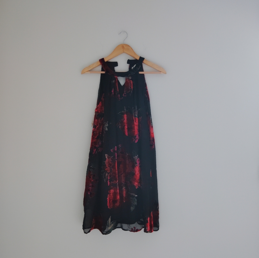 Francesca Sleeveless Mini Velvet Dress - Picture 2 of 7